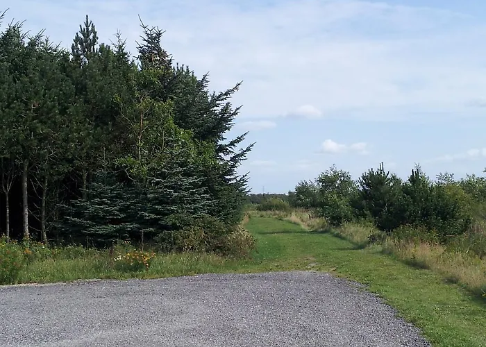 Bed & Breakfast Bed In Ribe